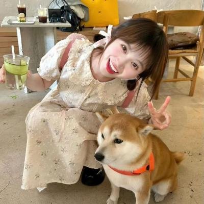 杰里:今天的故事